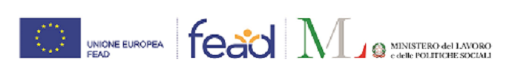 FEAD_-_LogoPerSitoWeb_(1)